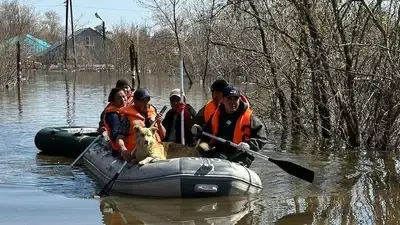 В Министерстве по ЧС РК рассказали, сколько казахстанцев спасли из зон подтоплений