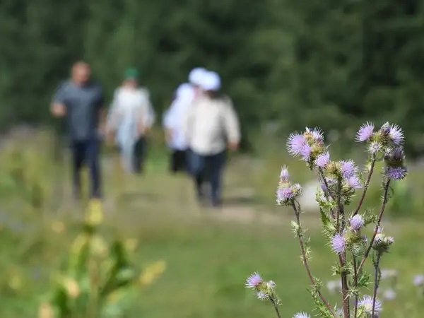 Казахстан поднялся на 14 позиций в мировом рейтинге туризма