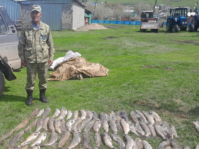 В ВКО в Маркакольском заповеднике задержали нарушителей с десятками килограммов ускуча