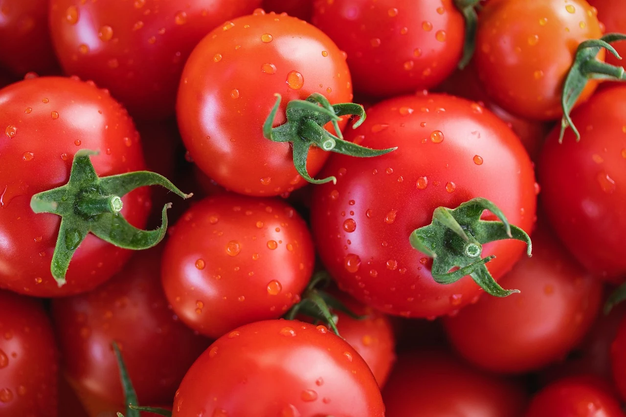 В Казахстан запретили ввоз более 60 тонн зараженных опасным вирусом томатов