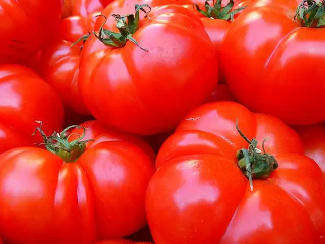Опасные помидоры ввезли в Казахстан из Узбекистана и Туркменистана