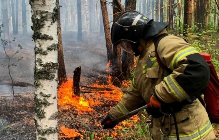 В Восточном Казахстане сохраняется пожарная опасность