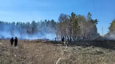 Почему семья погибшего при пожаре в «Семей орманы» лесника не получила пособие