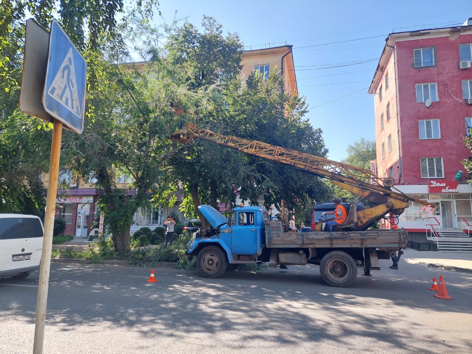 В Усть-Каменогорске убрали ветки, закрывающие дорожные знаки