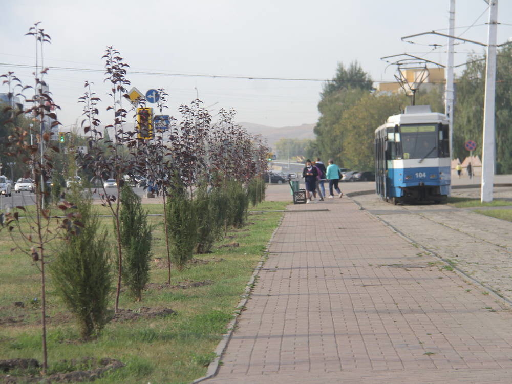 В Усть-Каменогорске установились НМУ