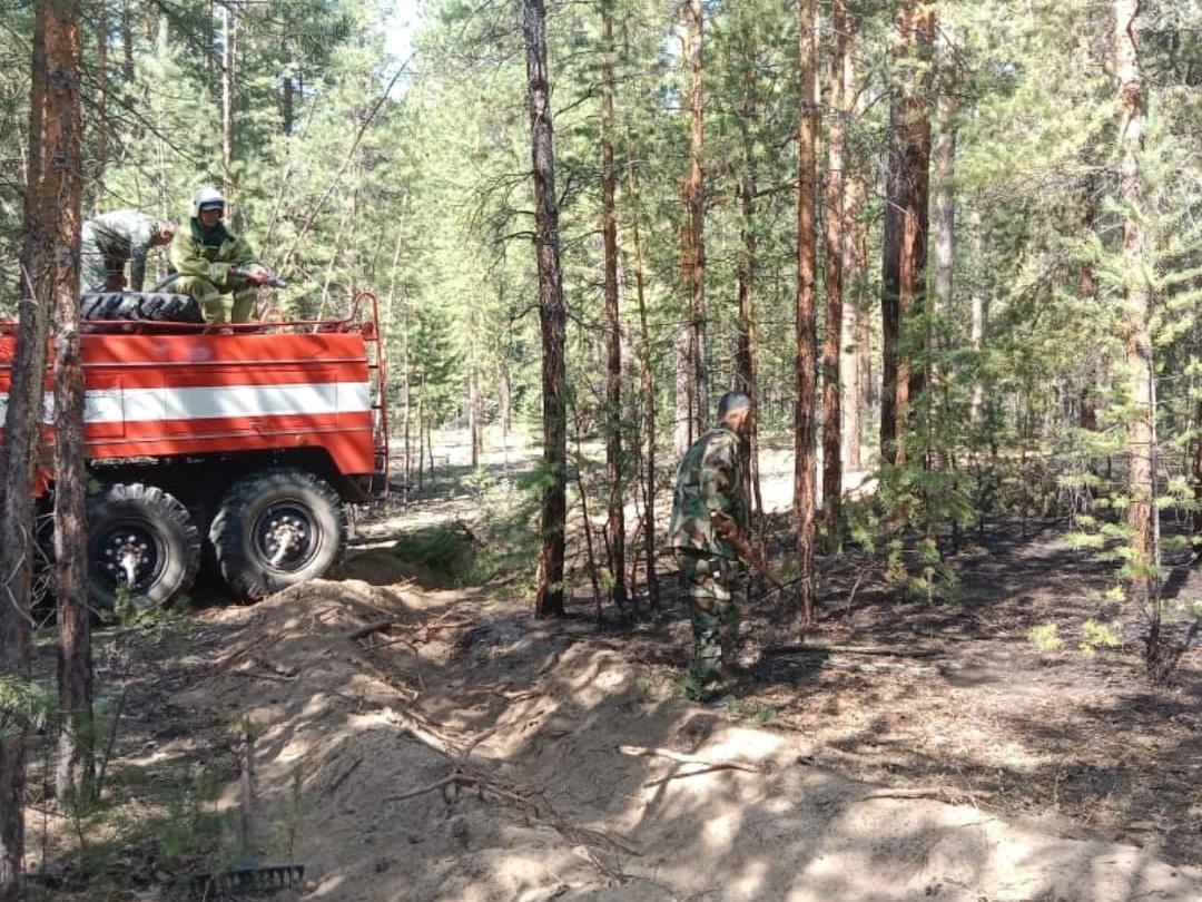 В сосновом бору на территории области Абай продолжаются пожары