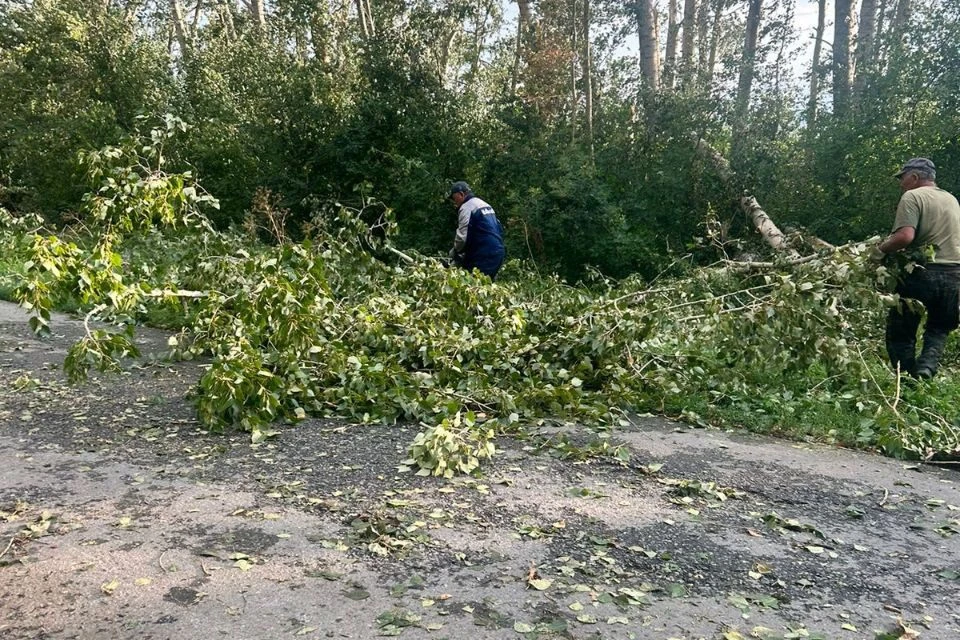 Буйство природы: последствия стихийного бедствия ликвидируют в населенных пунктах ВКО