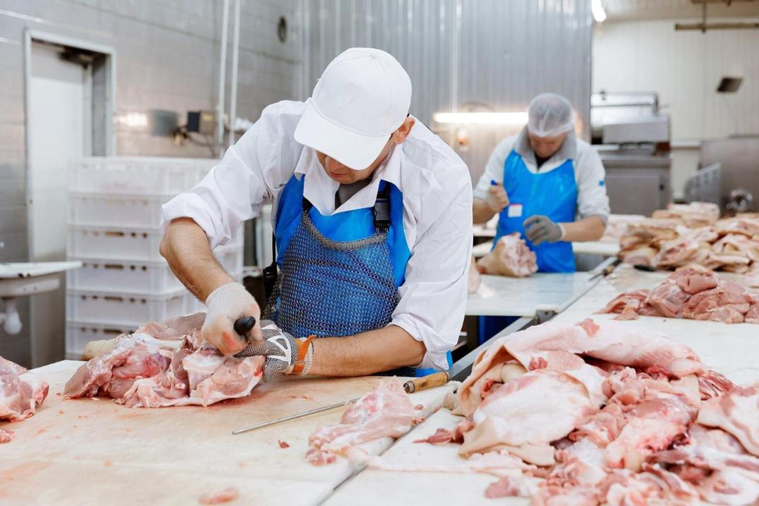Рост производства мяса в Казахстане: уверенная динамика развития отрасли