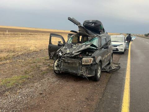 В ДТП с лошадью на трассе Алматы — Усть-Каменогорск погиб мужчина