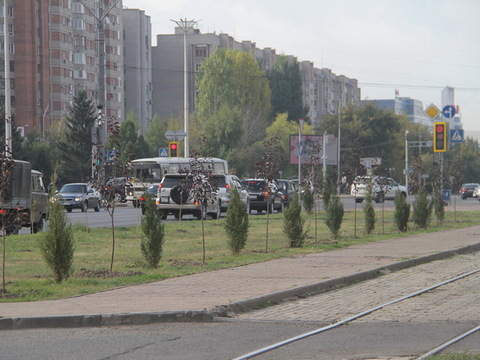 В Усть-Каменогорске проведут инвентаризацию всех зеленых насаждений