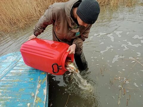 Рыбу спасли из отшнурованного водоёма в ВКО