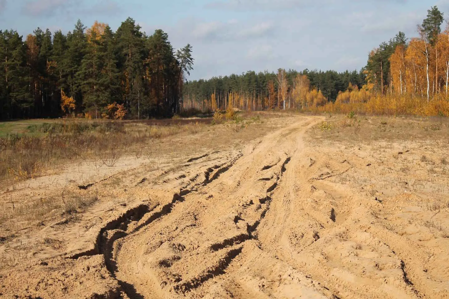 Бездорожье в пригороде Уральска не дает учиться сельским школьникам