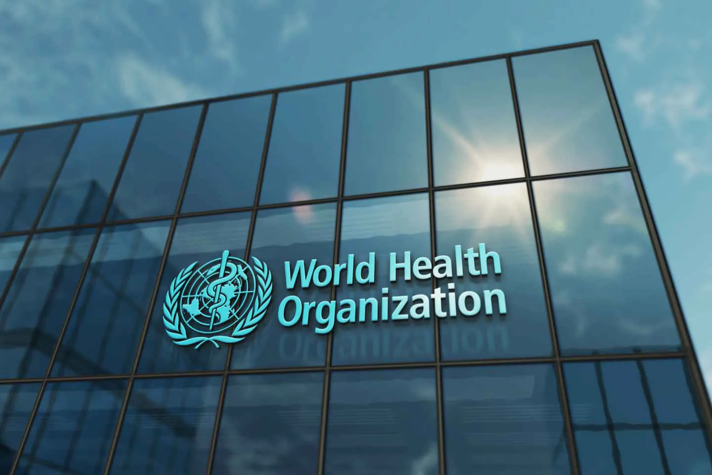 В ВОЗ заявляют о кризисе медицинской сферы в секторе Газа