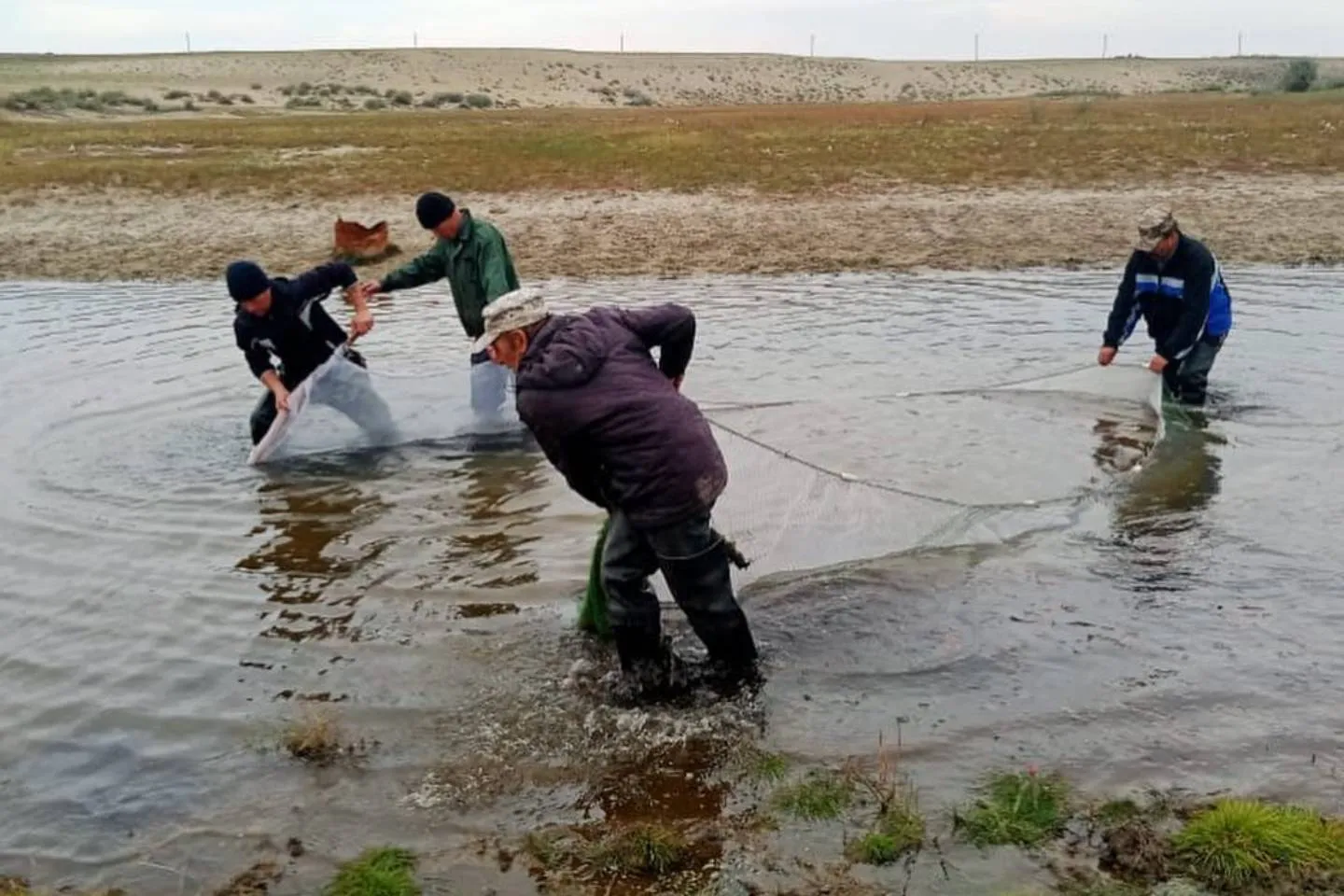 Более 41 тысячи молоди рыбы спасли из отшнуровавшихся водоемов Курчума