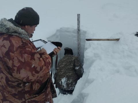 В районе Алтай объявили оранжевый уровень лавинной опасности