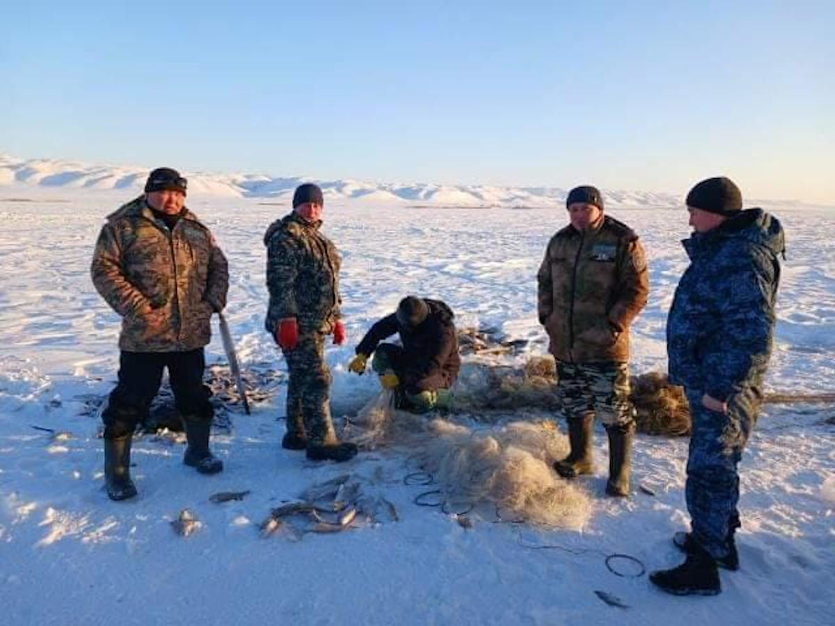 В ВКО изъятую из браконьерских сетей рыбу отдают в госучреждения